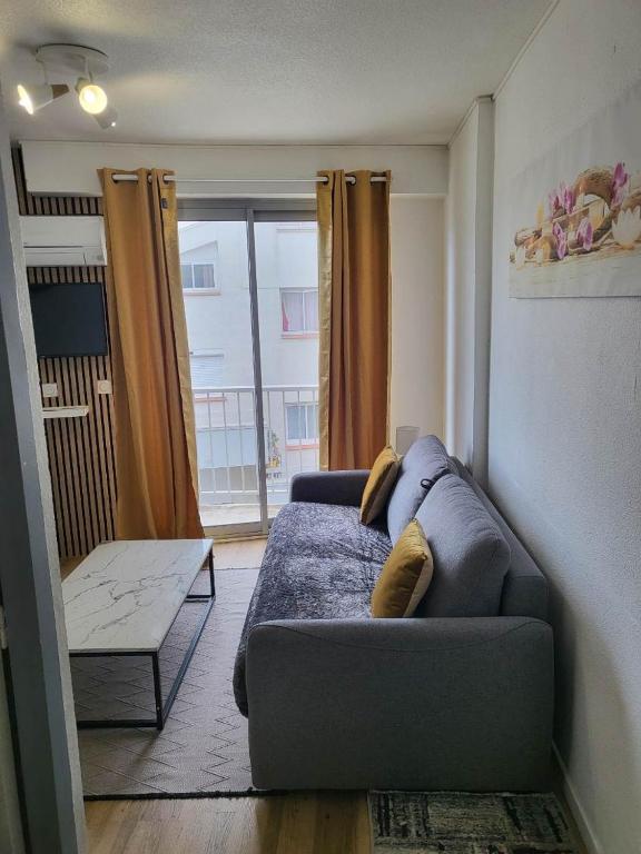 Magnifique studio en bord de mer vue montagne - B&B Saint-Cyprien