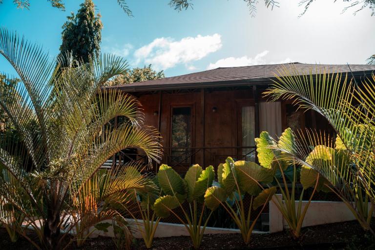 Star Apple Inn - B&B San Andrés