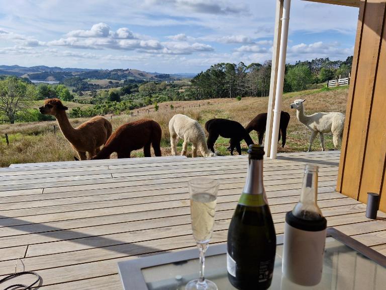 HavenRidge Alpaca Glamping Cabins - B&B Kaiwaka