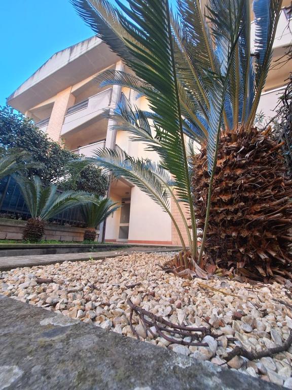 Casa Lagrimanti 8 - Ferienwohnung Vignanello