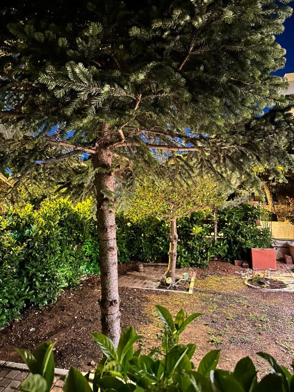 Elegant Garden Apartment in Quiet Halandri - B&B Atene