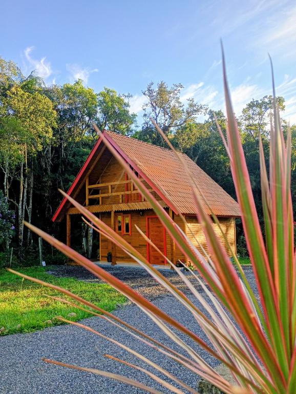 Cabana mandaçaia - Ferienwohnung Timbé do Sul
