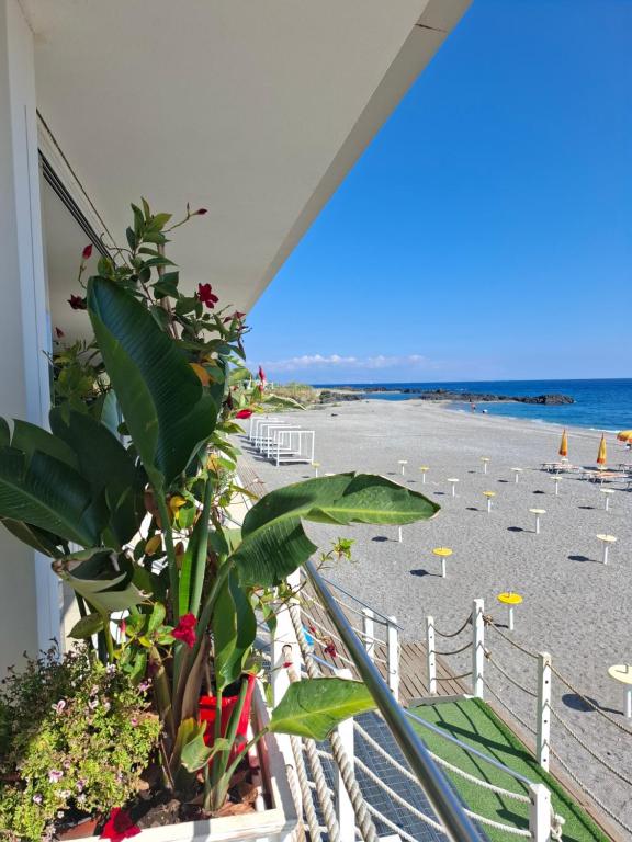 Naxos Beach Apartment - Sea View and Beach 100m - Giardini Naxos - B&B Giardini-Naxos
