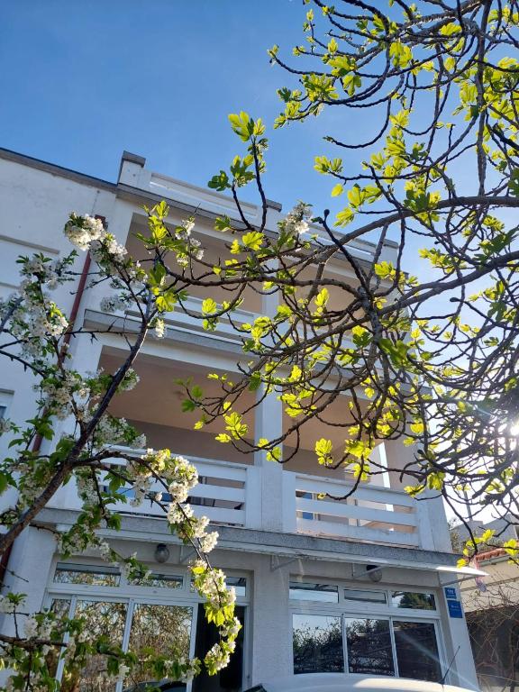 Apartman Lavanda - Čiovo - Trogir - Ferienwohnung Slatine