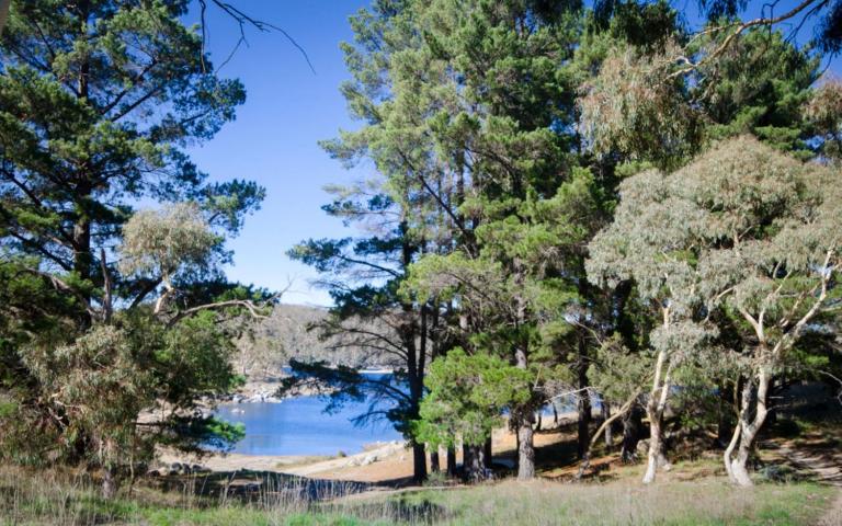 Cobb and Co 2 - Jindabyne Holiday Unit - B&B Jindabyne