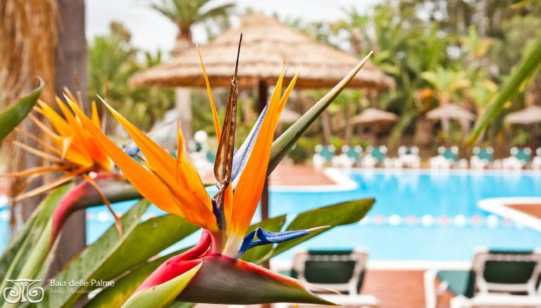 Baia Delle Palme Beach - B&B Santa Margherita di Pula