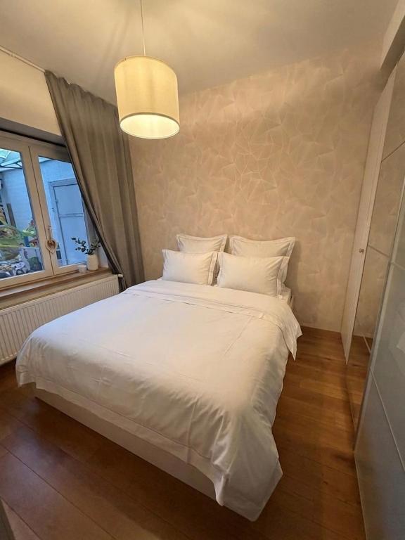 Charming Central Apartment with Private Garden - B&B Brussels