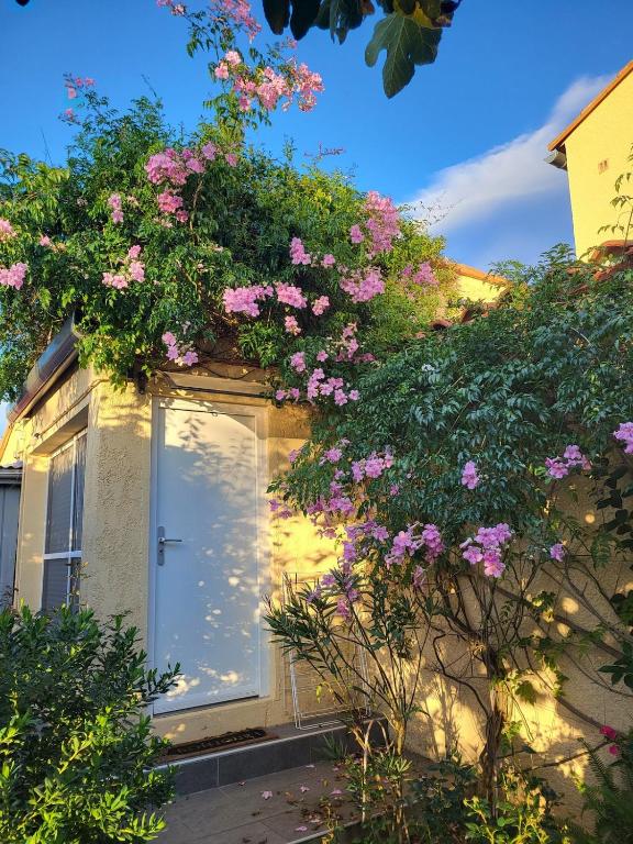 Studio_en_Roussillon - B&B Thuir