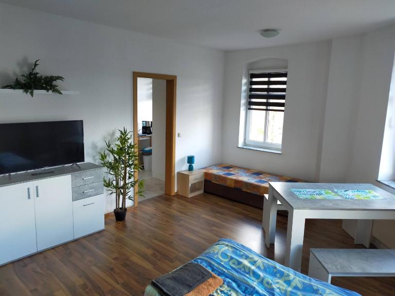 FLEX Aparts - große, möblierte Wohnung in Zwickau mit 2 Zimmern - B&B Zwickau