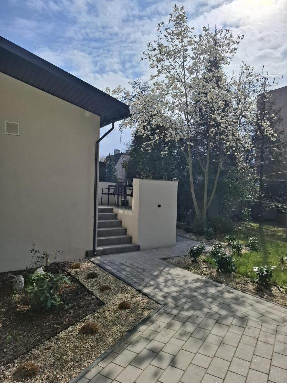 Apartament Pod Magnolią - B&B Breslavia