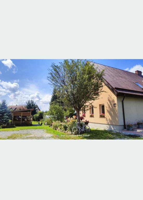 Pokoje gościnne Albinka - Bed and Breakfast Kudowa-Zdrój