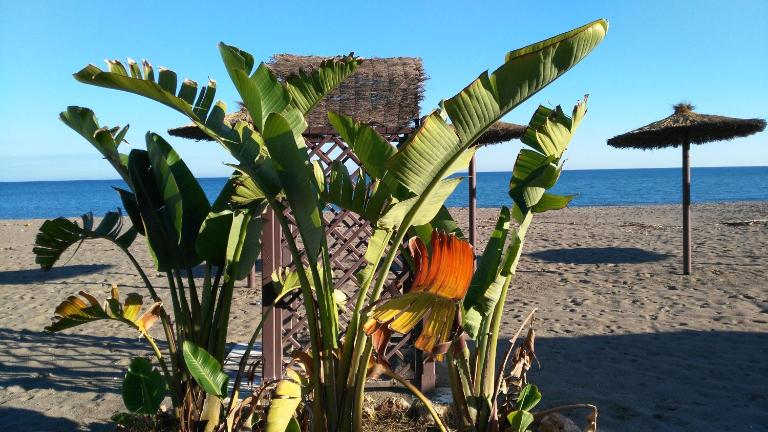 Aloha Paraíso - B&B Torremolinos