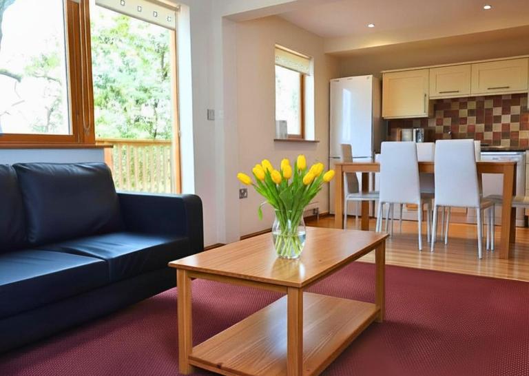 Scandi Style Bracken Lodge with Private Decking Sleeps 6 - Chambres d'hôtes Chudleigh Knighton