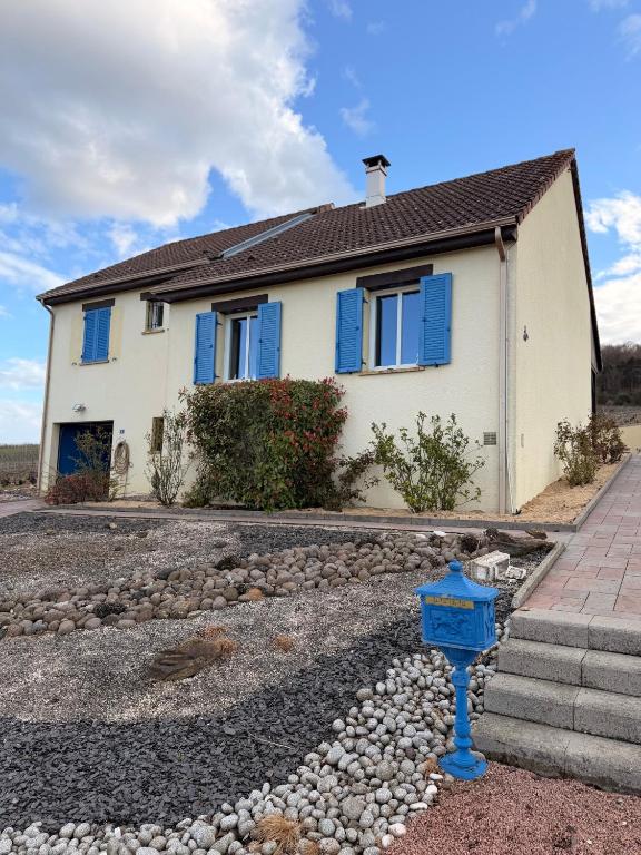 EntreVignes - B&B Chavot-Courcourt