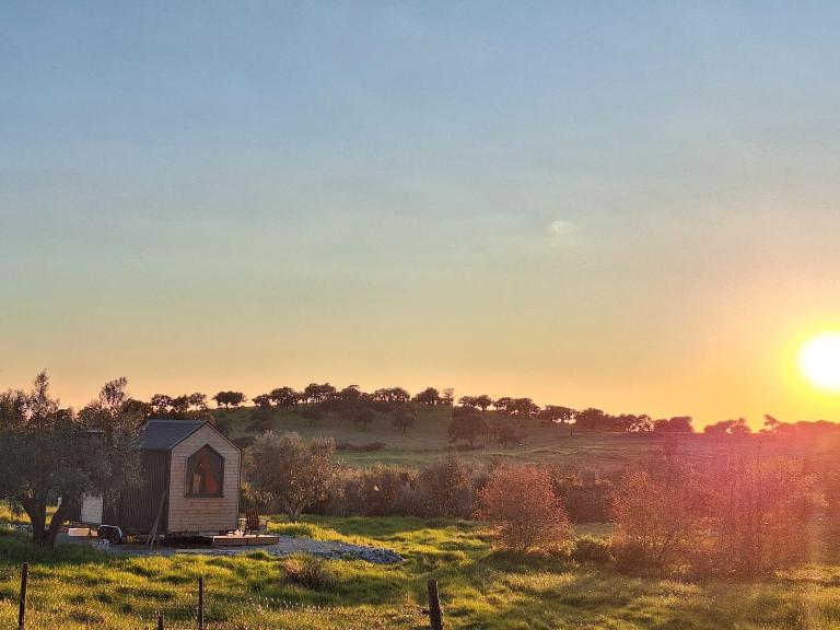 Bolota & Azeitona Retreat by Tiny Away - B&B Montemor-o-Novo
