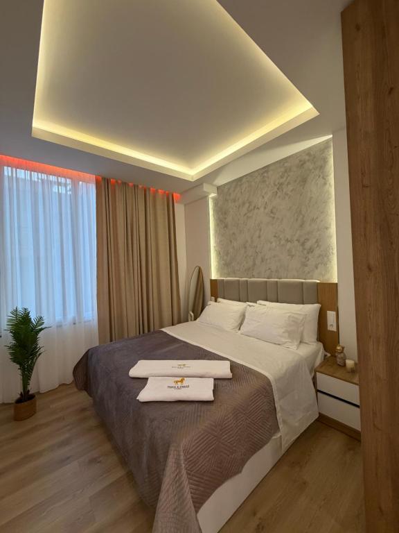 Paris and Eneas Studios - B&B Vlorë