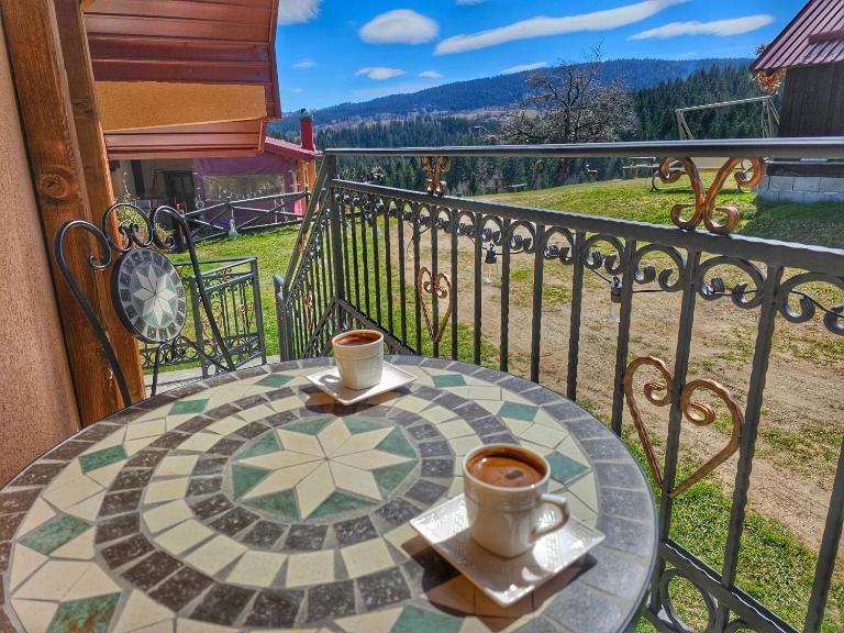 Vila Mica - STD Bojovići Zlatar - Chambres d'hôtes Nova Varoš