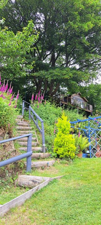 Cosy Treehouse - B&B Pontypool