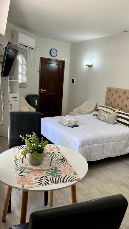 Greca Monoambiente Neuquen - B&B Neuquén