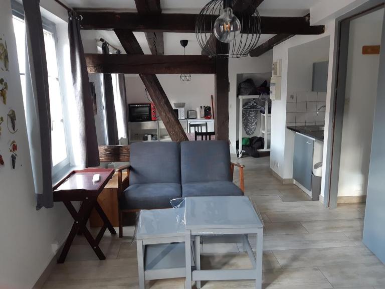 charmant studio lumineux situé au centre ville - B&B Colmar