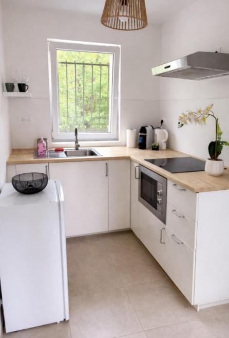 Appartement cosy 1 chambre avec SDB et cuisine - Bed and Breakfast Odos