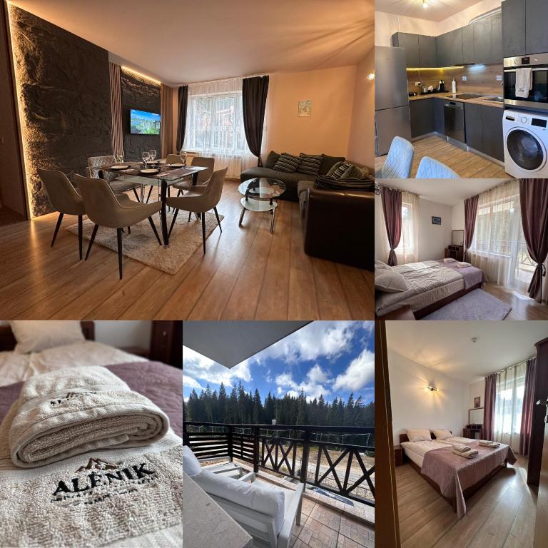 Alenik Private Apartment -Pamporovo - B&B Pamporovo