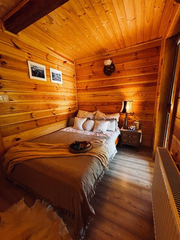 Klejniki - domek na kolonii, domek w lesie - B&B Kleniki