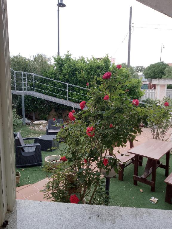 Casa vacanze sa minda noa whit a private garden - B&B Olbia