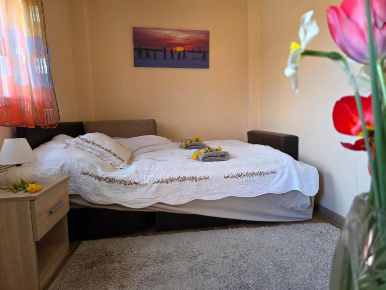 Kertvárosi kuckó Debrecenben! - B&B Debrecen