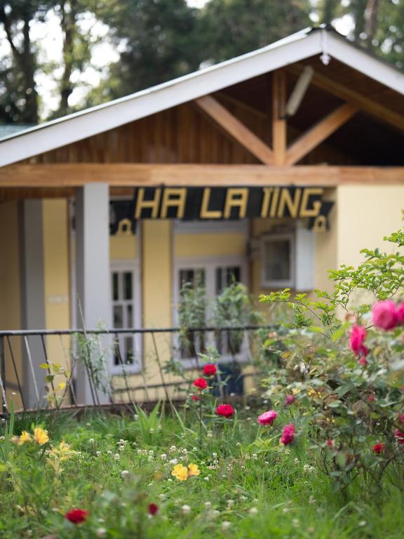 Halaing Guesthouse - Bed and Breakfast Shillong