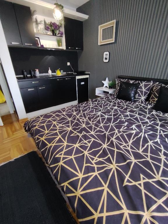 Studio ARIES - Bed and Breakfast Vrnjačka Banja