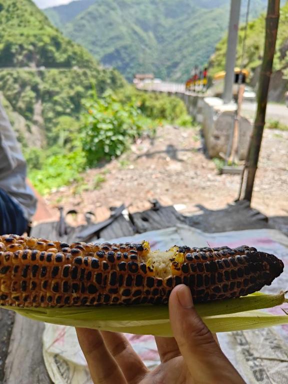 New Tourist Homestay - B&B Mussoorie