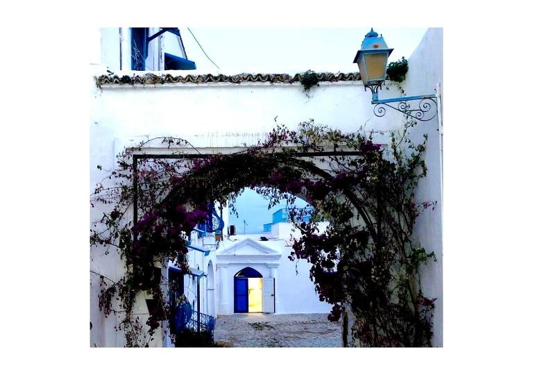 La terrasse aux souvenirs - Ferienwohnung Sidi Bou Said