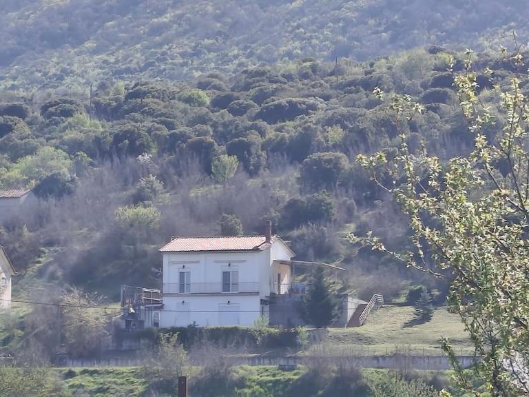 La Rosa - B&B Paliouriá