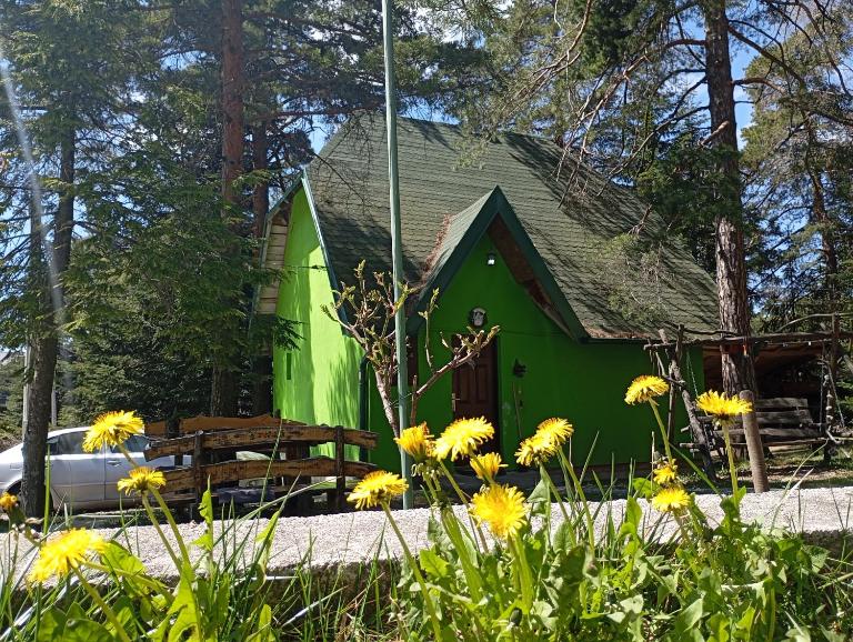 Petra Kuća Apartmani Studio Divčibare Петра Кућа Апартмани Студио Дивчибаре - B&B Divčibare
