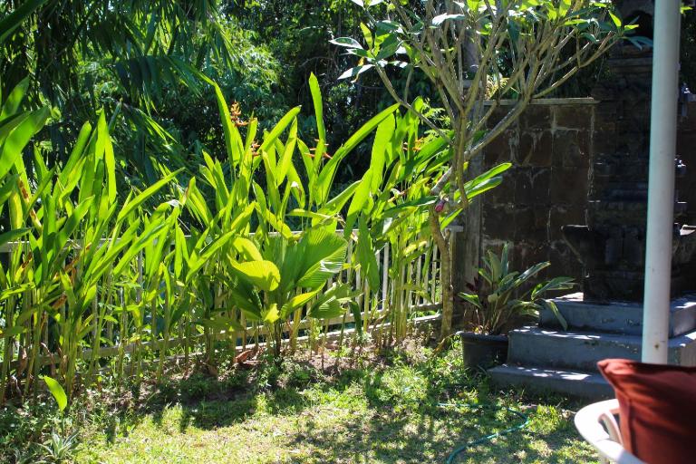 Cozy 2BR House Near Pering Beach Gianyar Bali - B&B Curahmas
