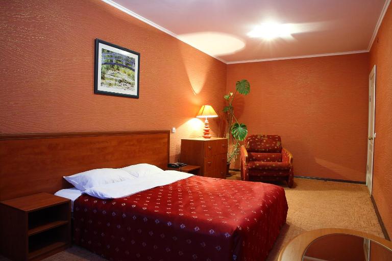 Ukrainian Hotel Service Apartments Central Railway Station - B&B Kyiv