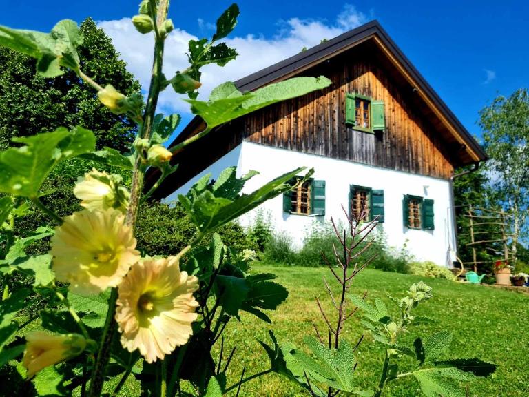Estate Ana - B&B Ptuj