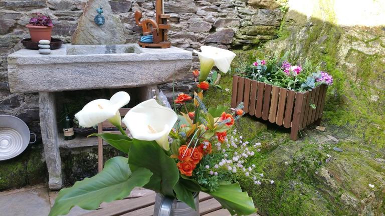 Casa De Aldea La Galea - B&B Vegadeo