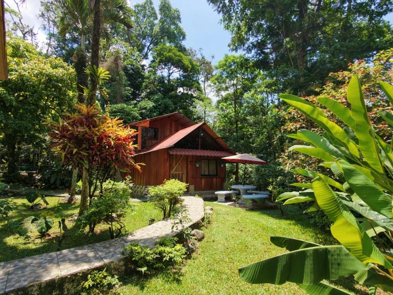 Tropical Forest Adventure Near Arenal Volcano - B&B Chachagua