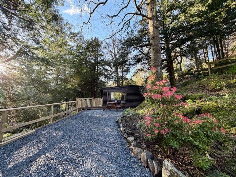 Lake District Woodland Cabin - Close to Ambleside & Langdale Valley - Chambres d'hôtes Ambleside