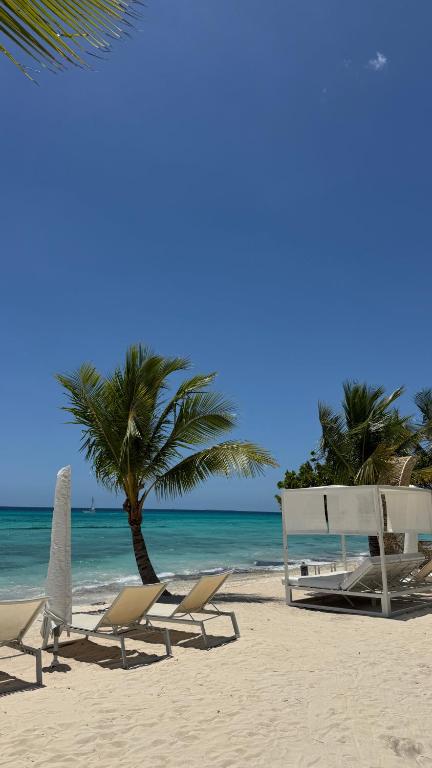 Trinidad 103 Beachfront Apartment with Private Beach Aqua Esmeralda - B&B La Laguna