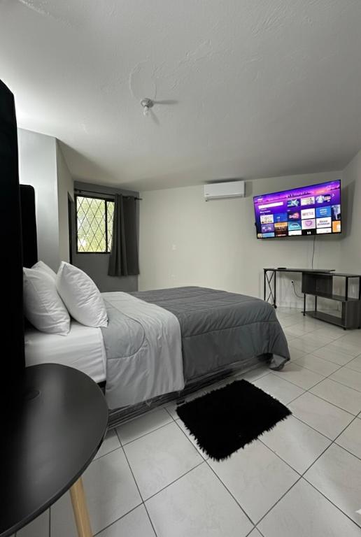 Casa Moderna, Ubicación Estrategjca - B&B El Cedro
