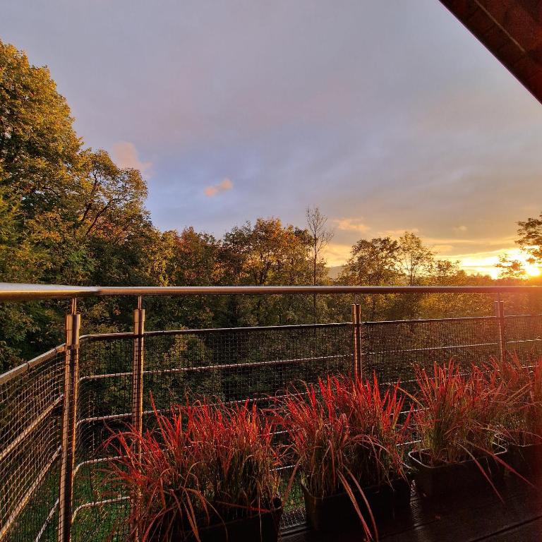 Apartament z tarasem nad Potokiem, przy Szlaku na Równicę - Bed and Breakfast Ustroń