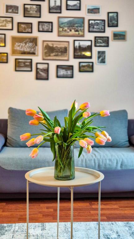 W Samiuśkim Centrum - B&B Szczyrk