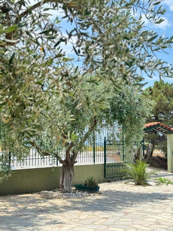 Άνεμος Home 2 - Bed and Breakfast Kavála