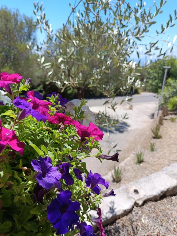 Appartamento Nonna Teresa - B&B Marina di Camerota