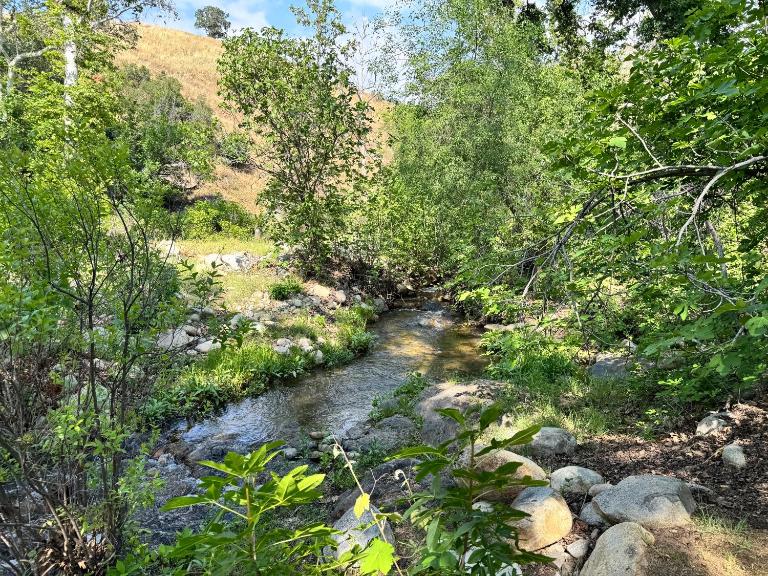 River Retreat near Sequoia National Park - B&B Three Rivers