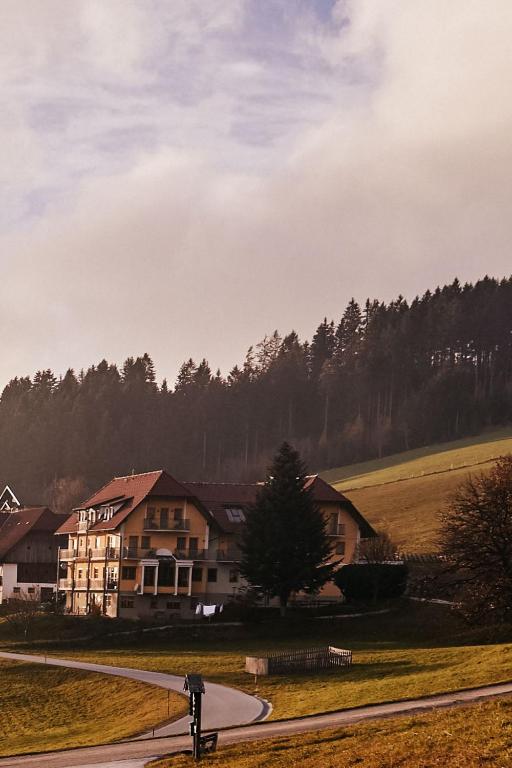 Wildwiesenhof - B&B Miesenbach bei Birkfeld