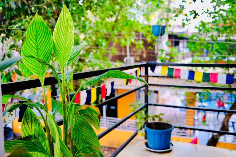 Subha Guest House, Travellers,bagpackers - B&B Arambol